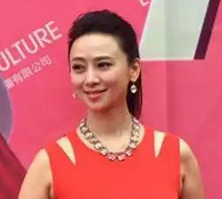 翁虹空降广西灵山出席六和城样板间开放-翁虹经纪人